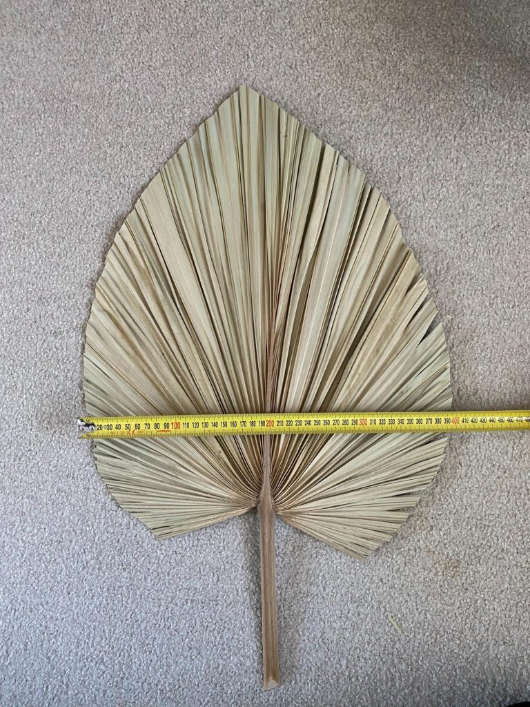 Large Natural Palm Spear - Golden Touch Flowers